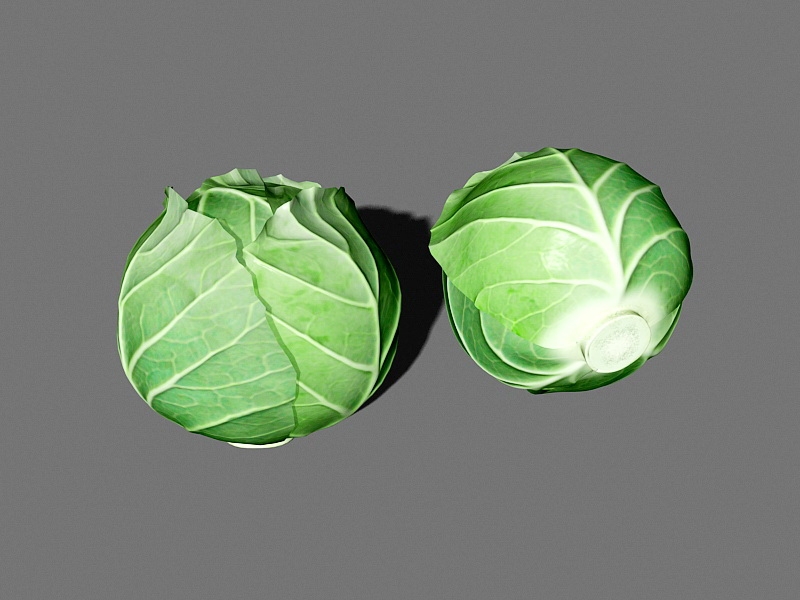 Cabbage Head 3d model download — 3D model download