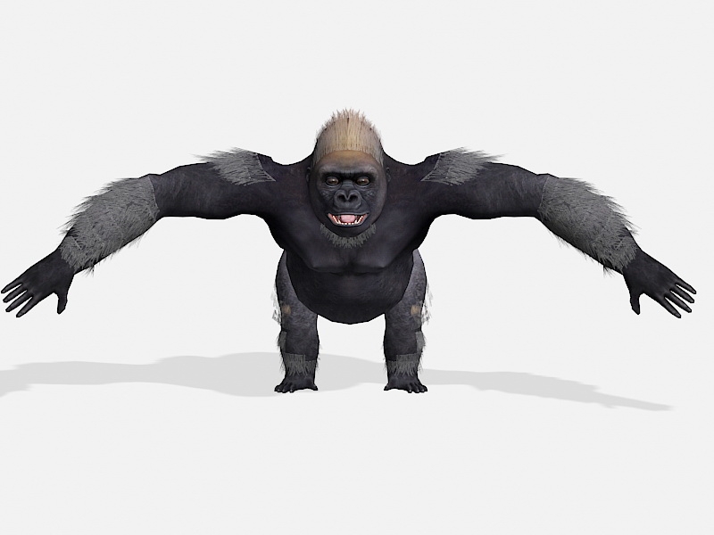 Muscular Gorilla 3d model download — 3D model download