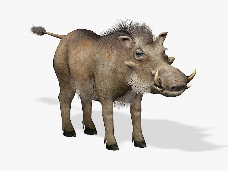 Common Warthog 3d model download — 3D model download