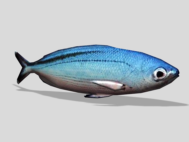 Animated Blue Fish Rigged 3d model download — 3D model download