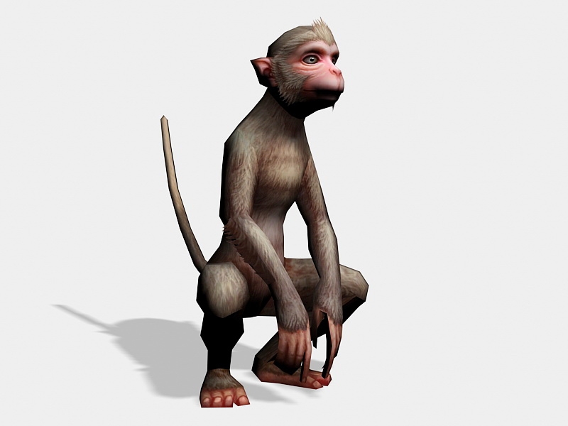 Beautiful Monkey 3d model download — 3D model download