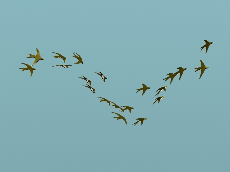 Flock of Swallows 3d model download — 3D model download