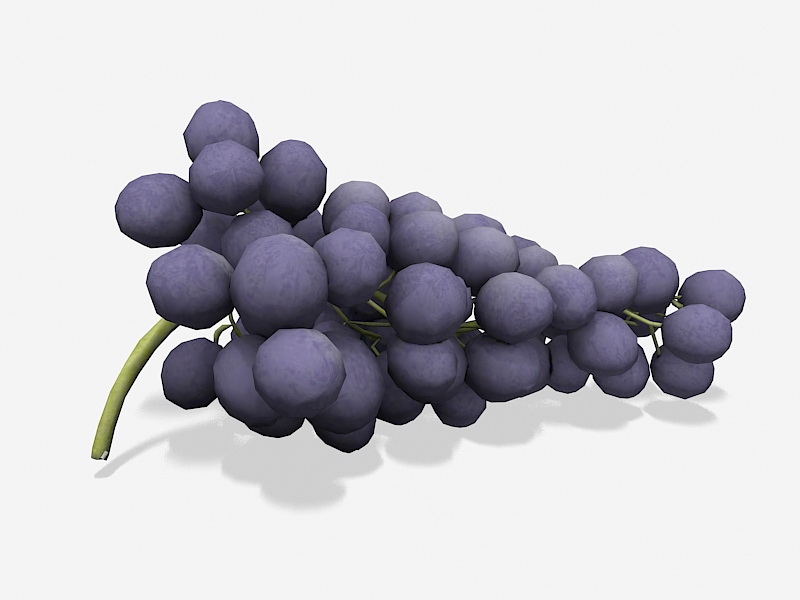 Purple Grapes 3d model download — 3D model download