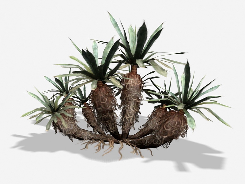 Jungle Dragon Tree 3d model download — 3D model download