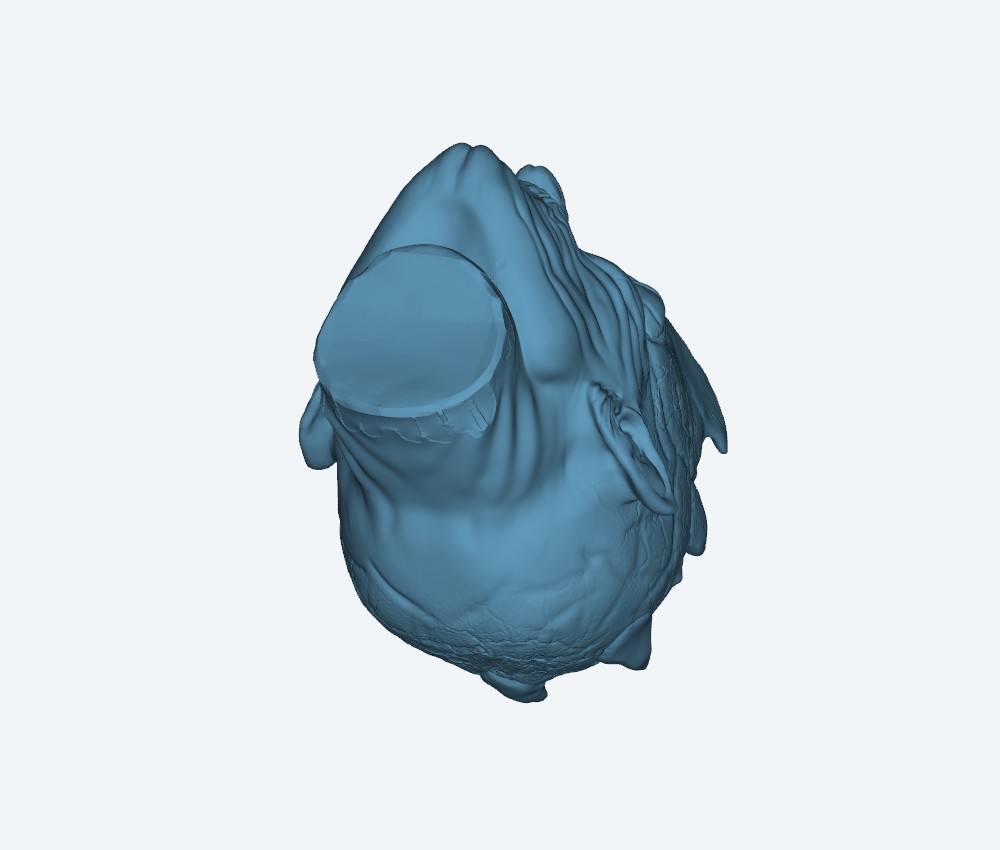 Miniatura Night King (Go T) — 3D model download