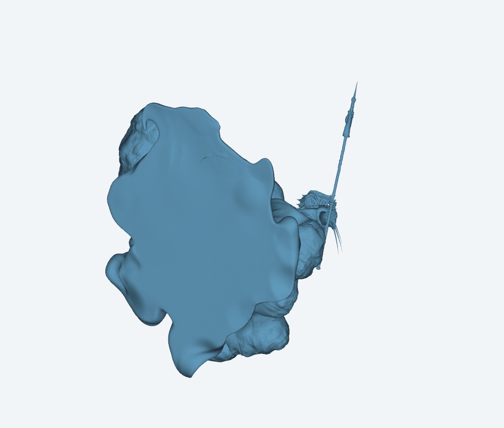 merman — 3D model download