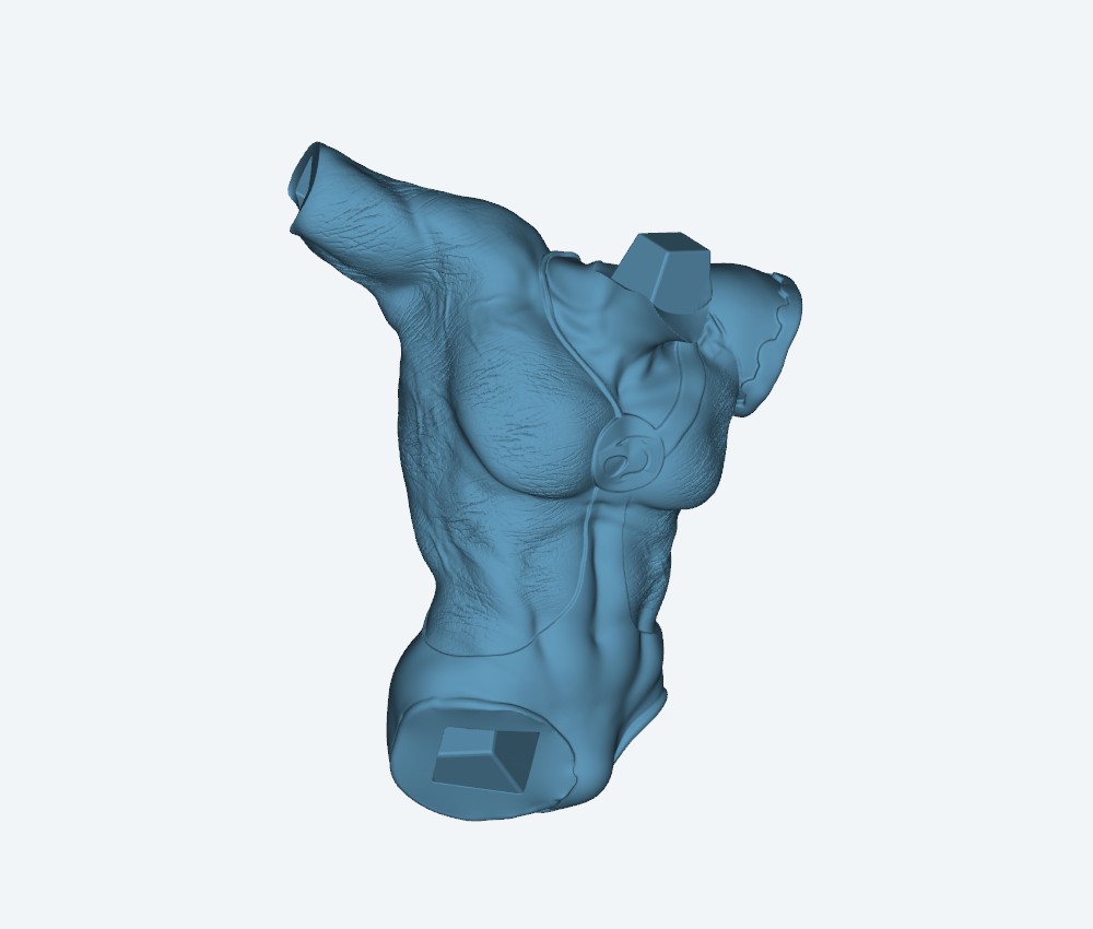 Tygra — 3D model download