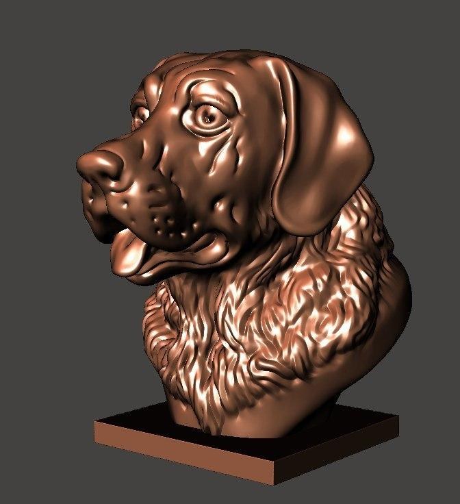 Labrador Bust — 3D model download