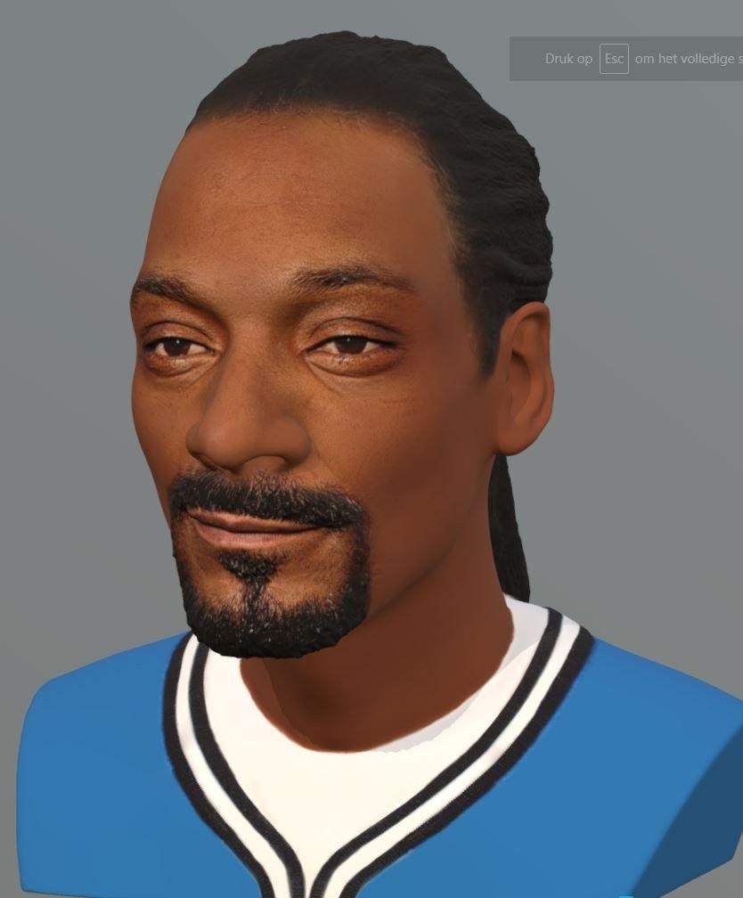 Snoop Dog - Bust — 3D model download
