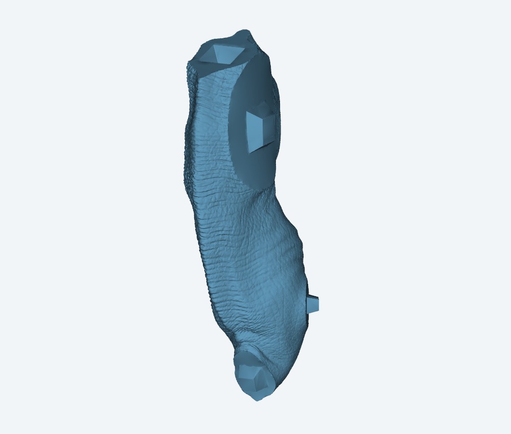 Velociraptor — 3D model download