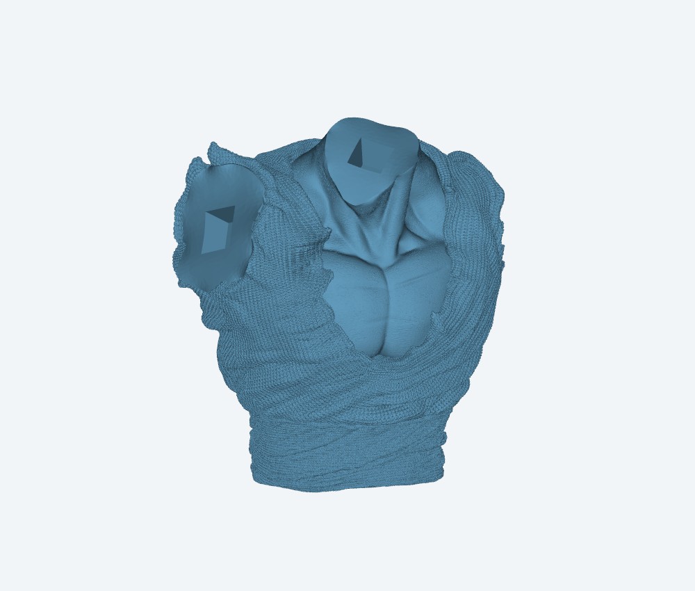 Piccolo - Washed — 3D model download