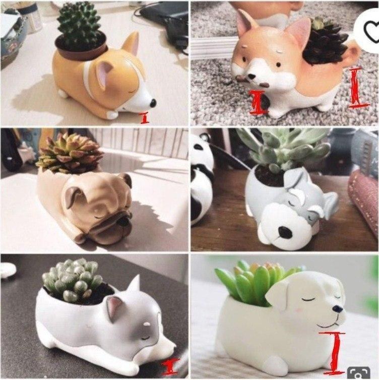 Pack Pets Pot — 3D model download