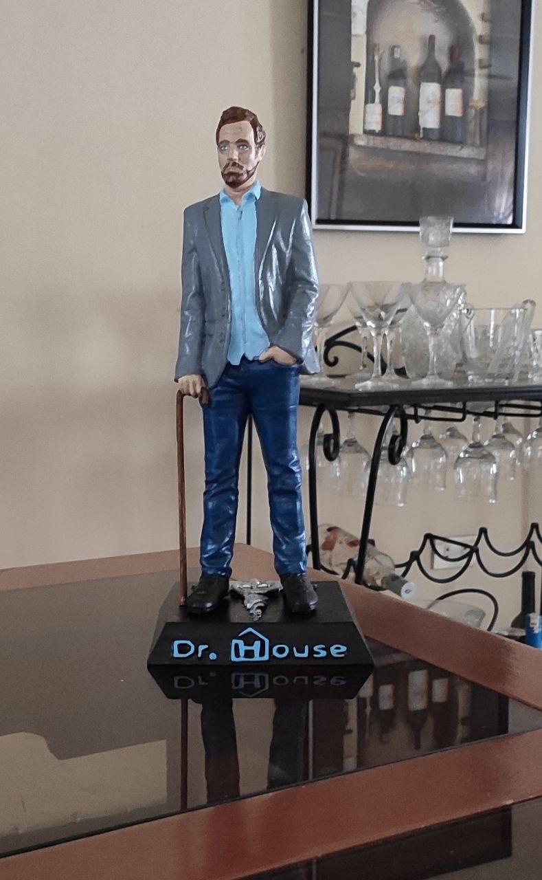 Dr House — 3D model download
