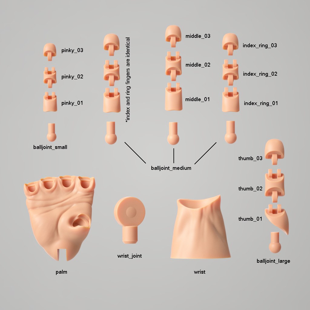 Articulated Poseable Hand — 3D model download